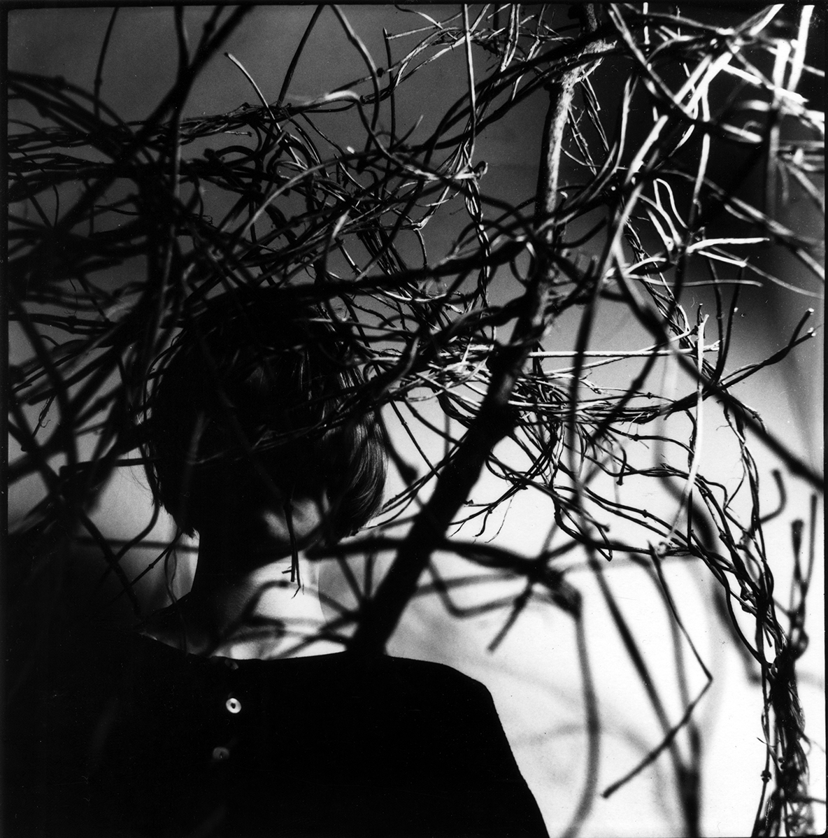 Marek Brandt Princess